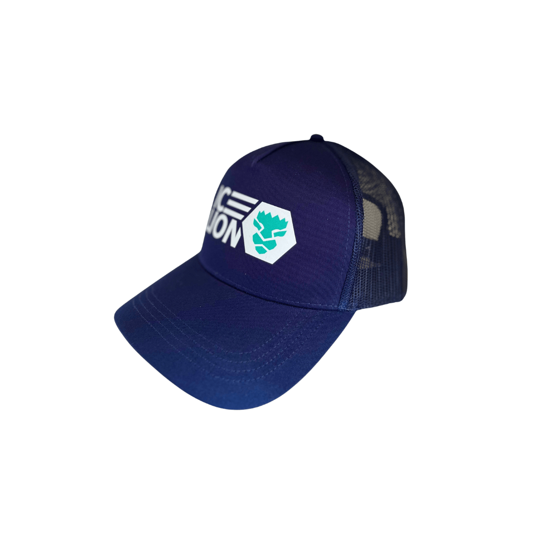 Power Hoodie - ICELION