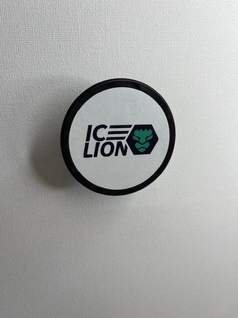 Power Hoodie - ICELION