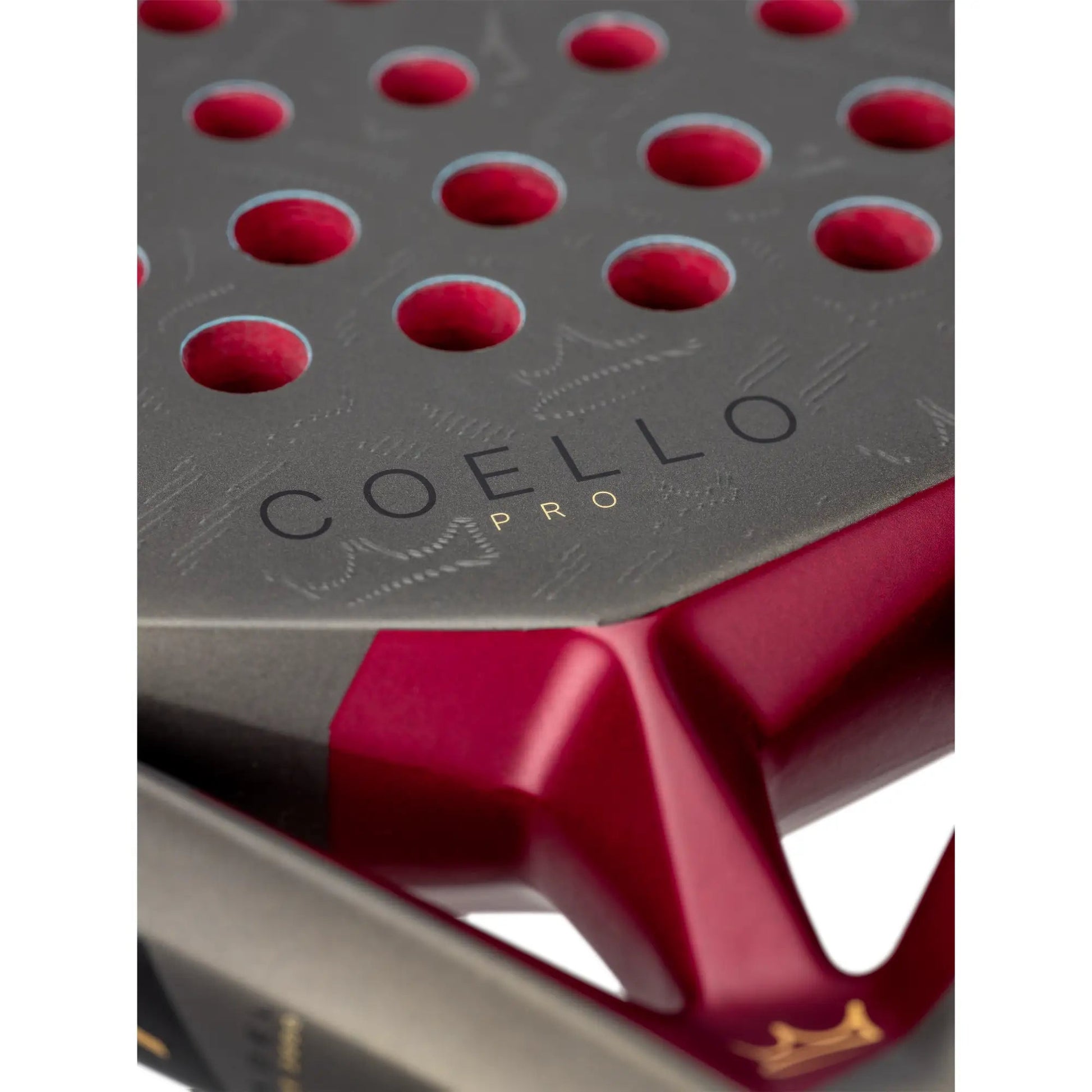 Power Hoodie - ICELION