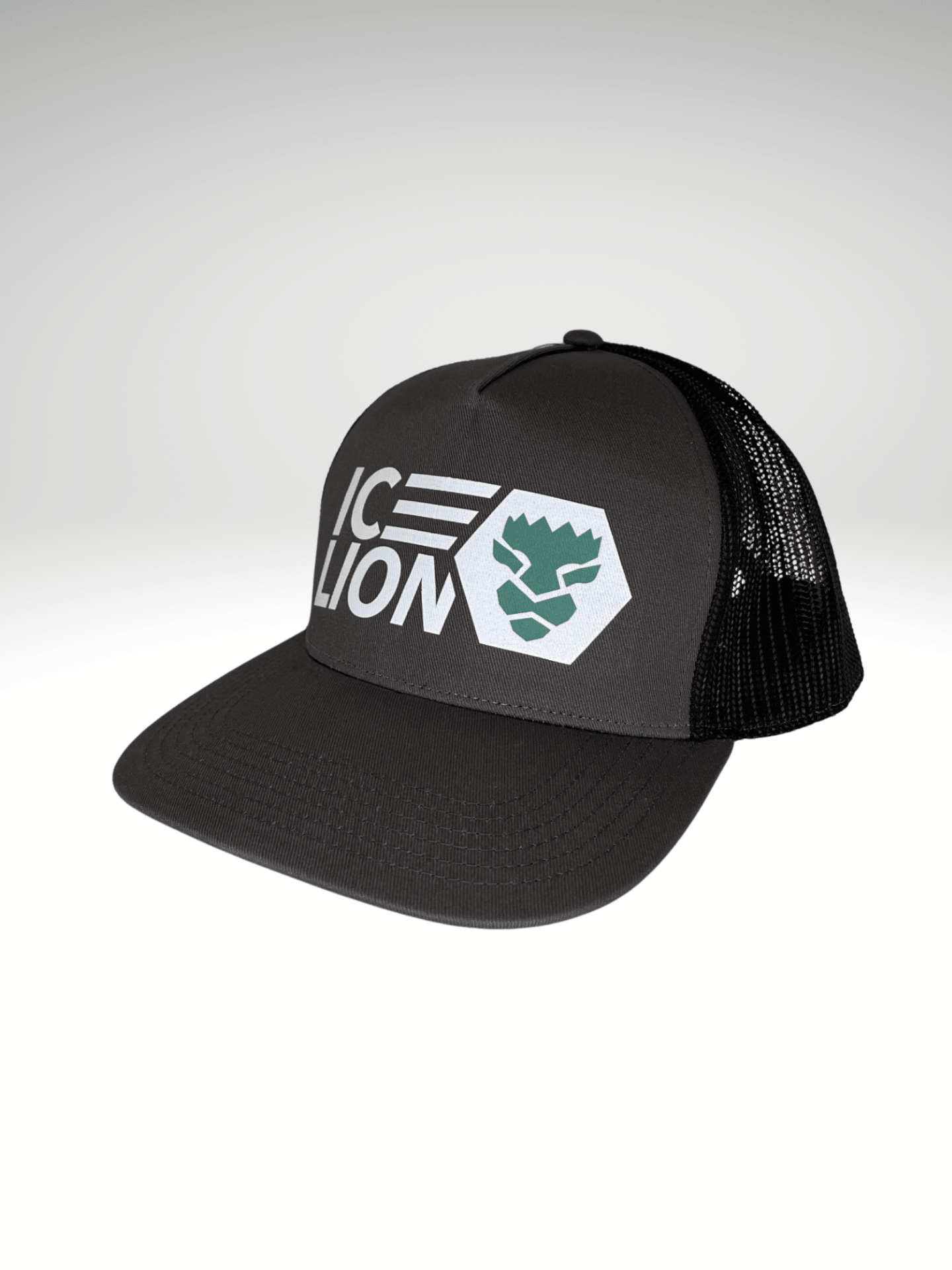 Power Hoodie - ICELION